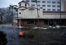 Фото - Во Флориде из-за урагана акула заплыла на улицу города